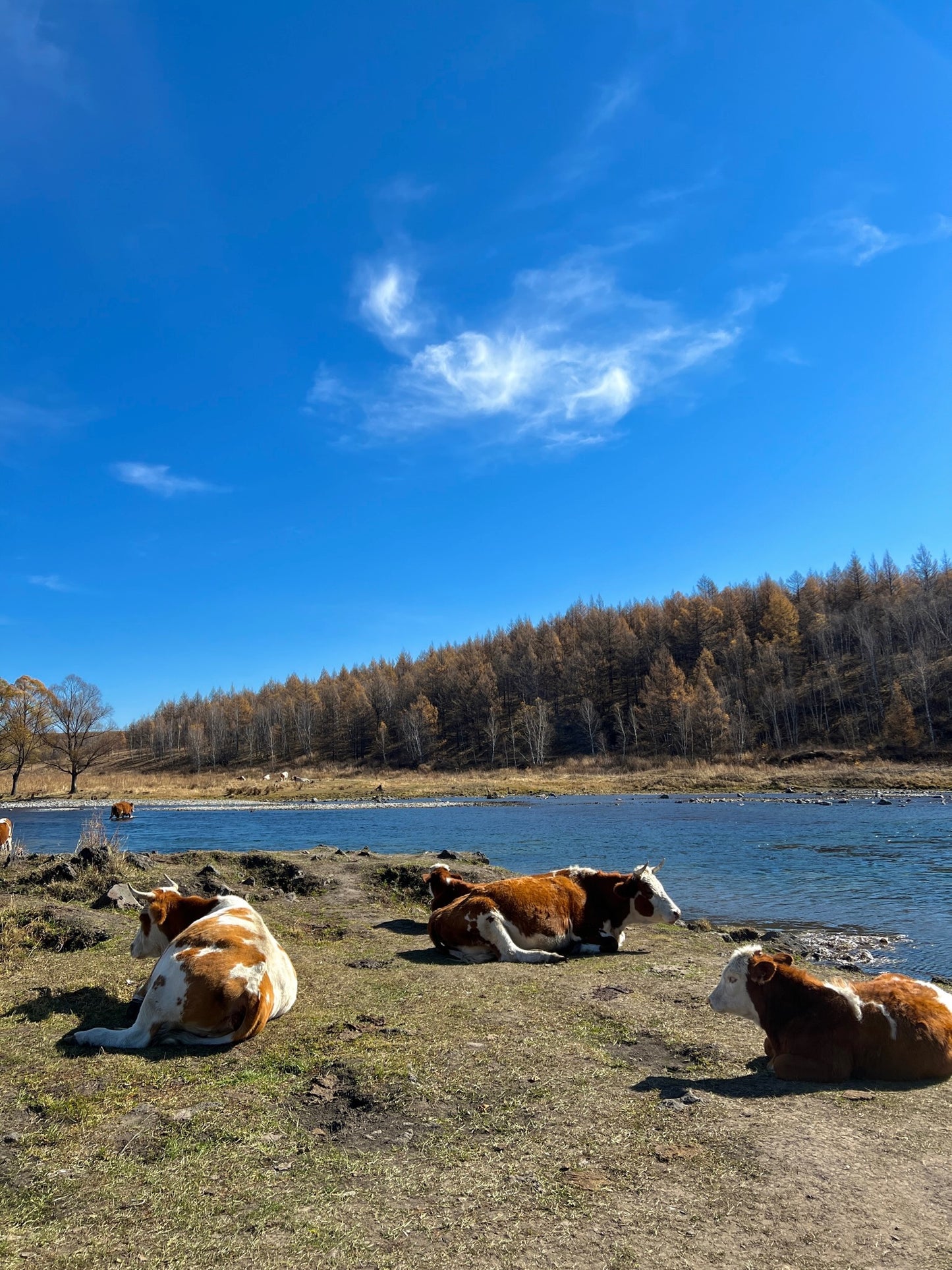 Discover Inner Mongolia: Autumn Landscapes and Secret Cultures of the North