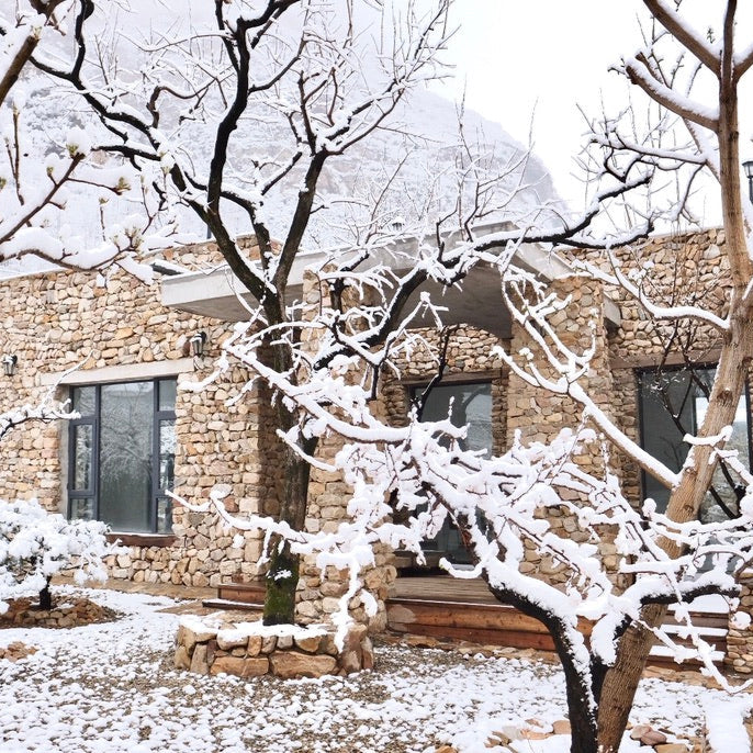 Stonehouse Getaway: Taste the Slow Life Amidst Nature