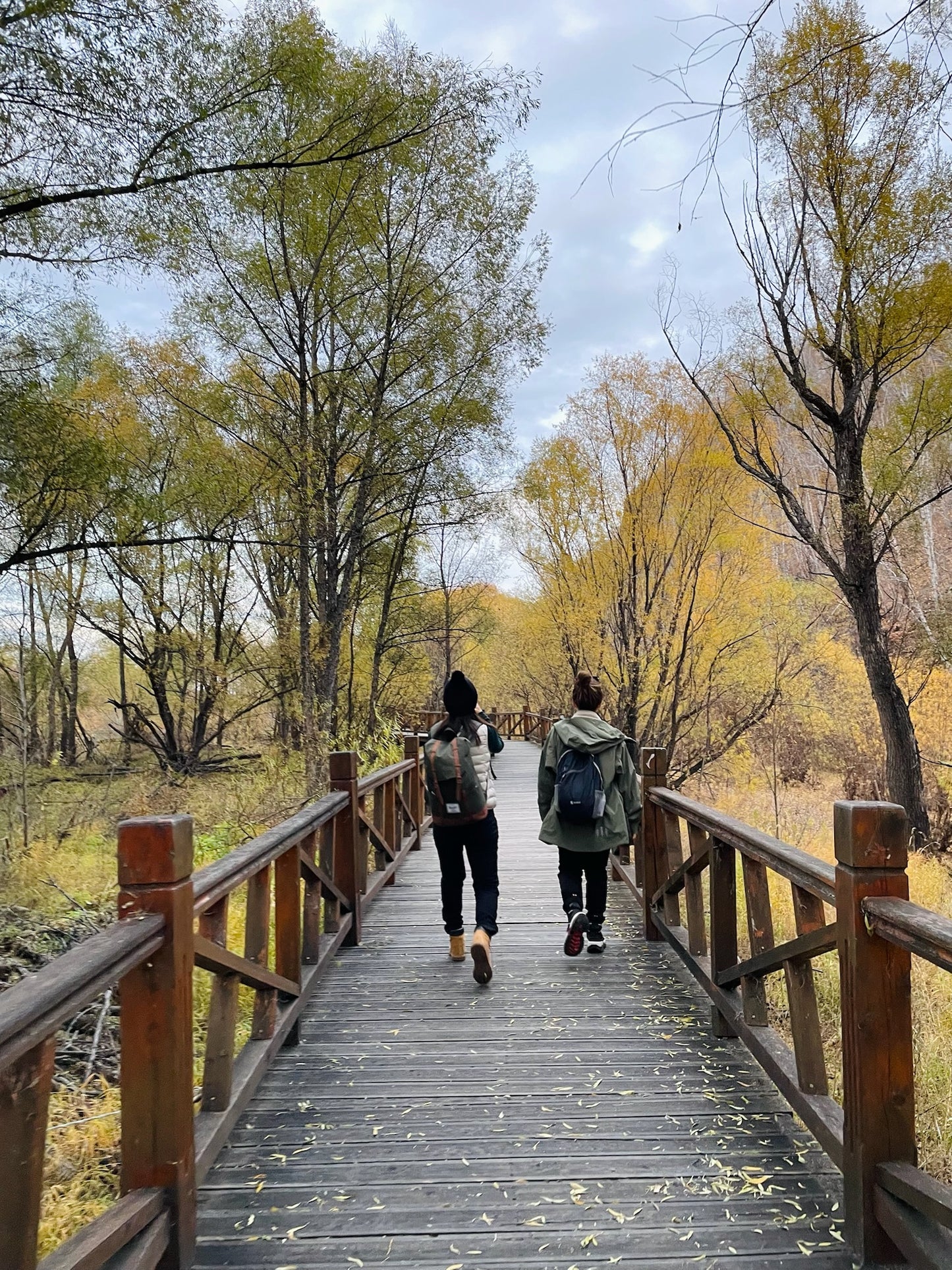 Discover Inner Mongolia: Autumn Landscapes and Secret Cultures of the North