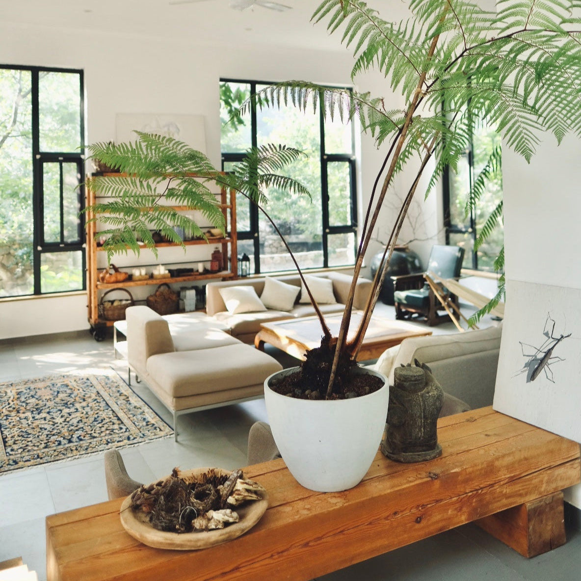 Stonehouse Getaway: Taste the Slow Life Amidst Nature