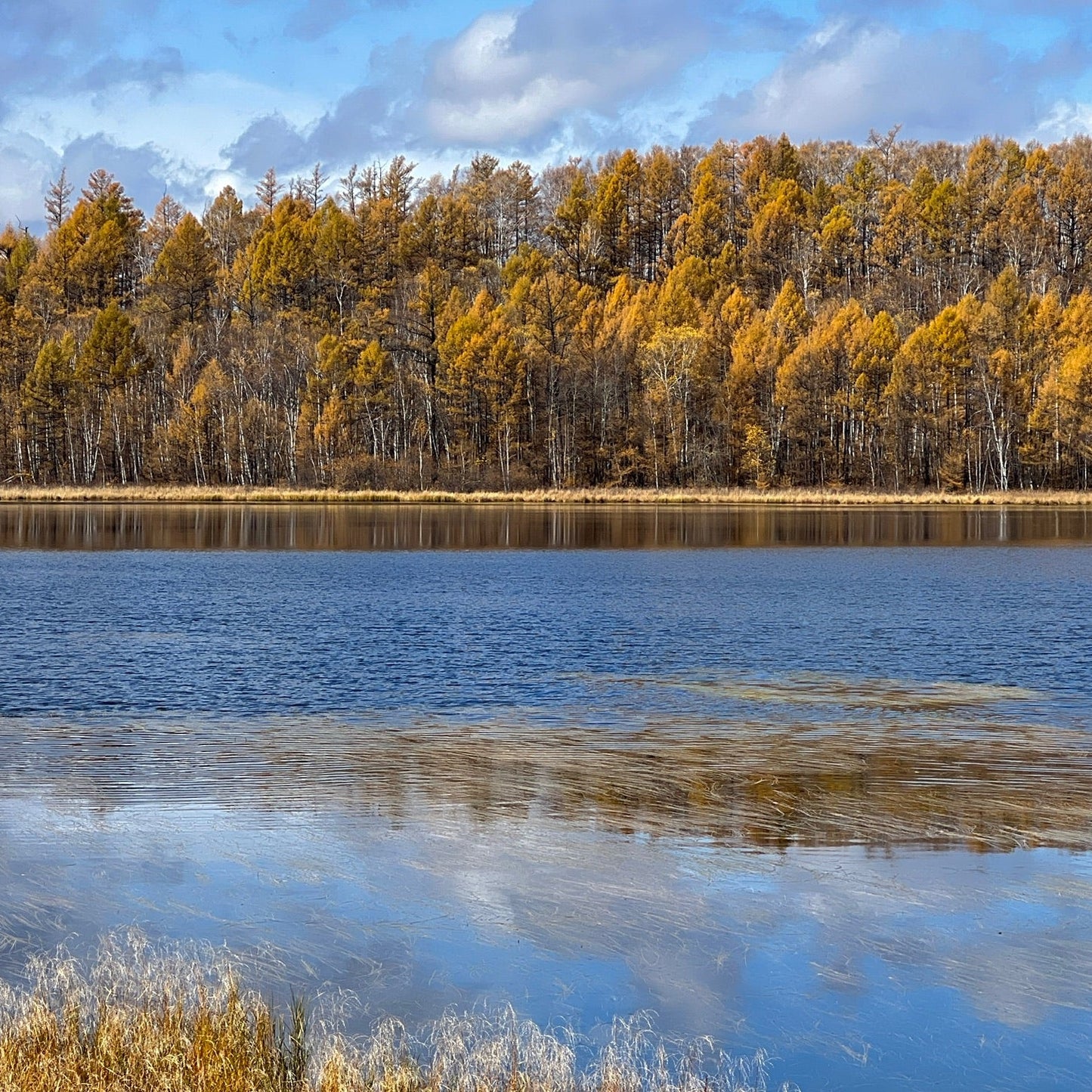 Discover Inner Mongolia: Autumn Landscapes and Secret Cultures of the North