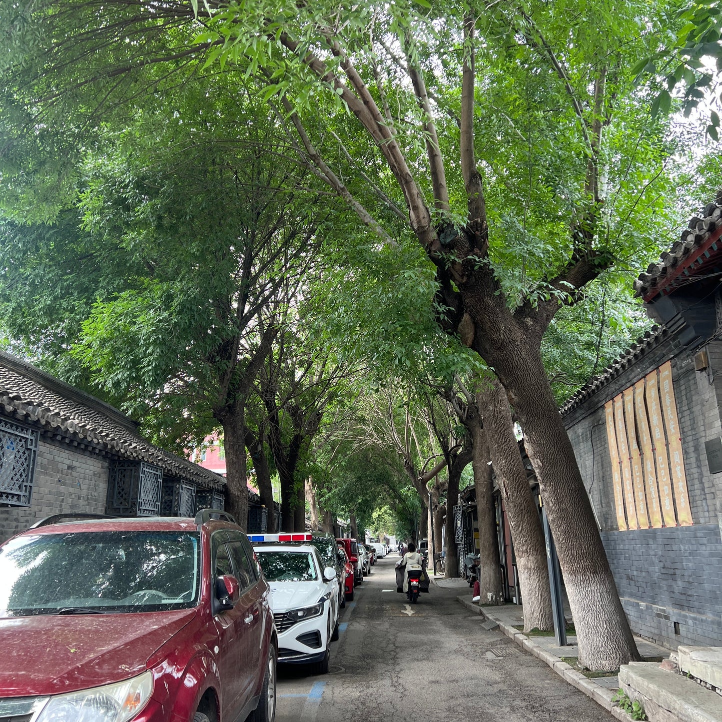 Sesame with Espresso: Beijing’s Flavor Remix