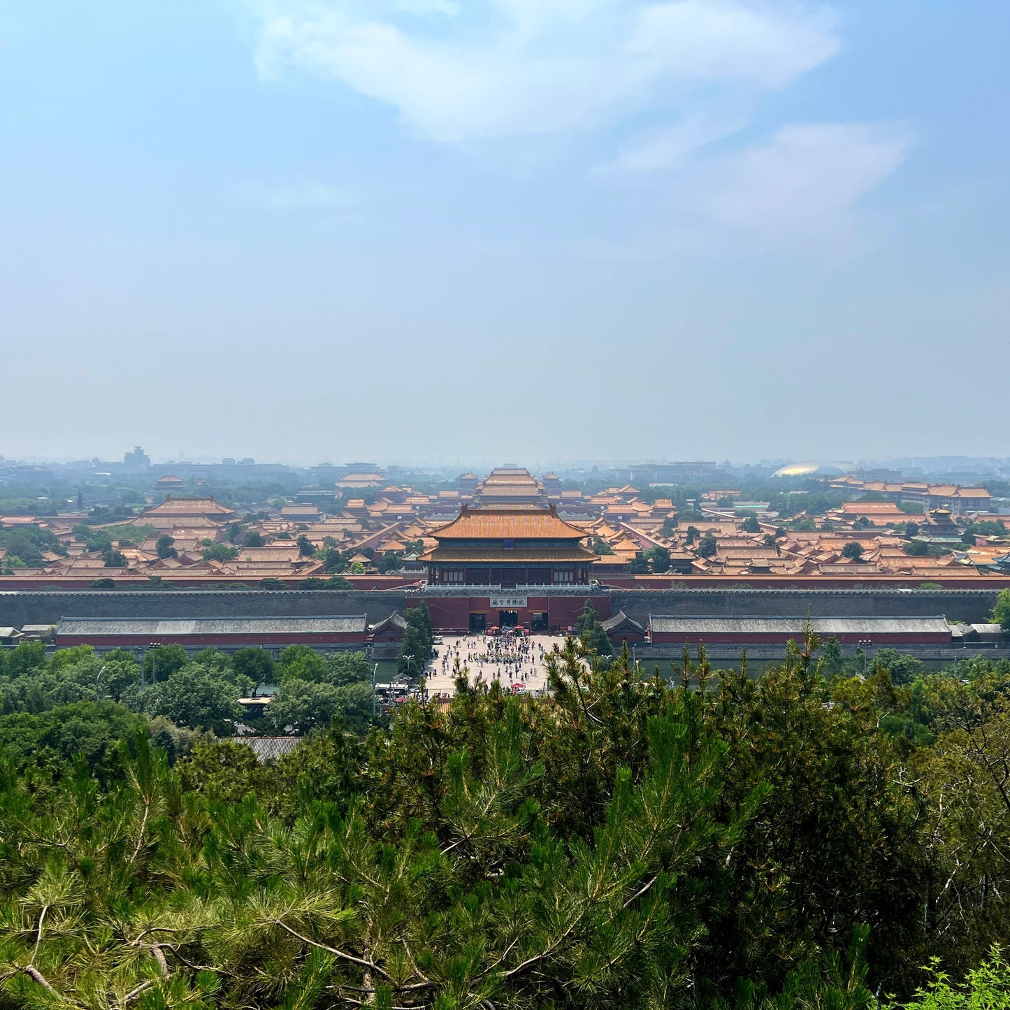 Whispers of Time: Beijing’s Thousand-Year-Old Trees