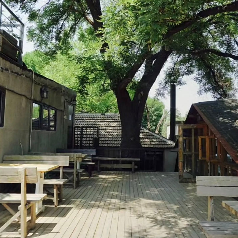 Rooftop Flow: Yoga Above the Hutongs