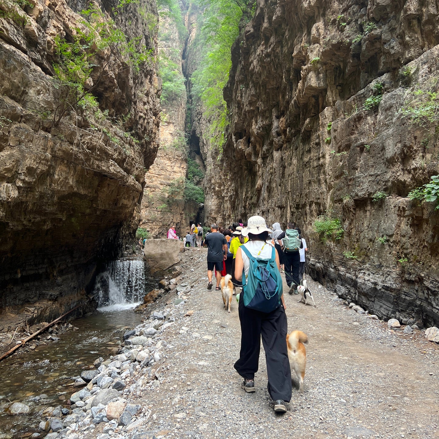 River Crossings to the Past: A Wild & Historic Summer Escape