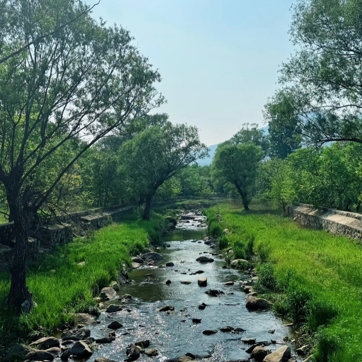 The Black Mountain Trail to a Fire-Cooked Feast