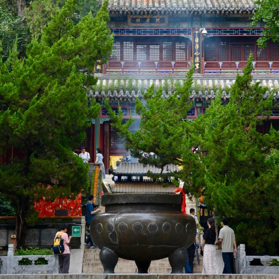 Where Time Slows: Temple Paths & Creative Valleys