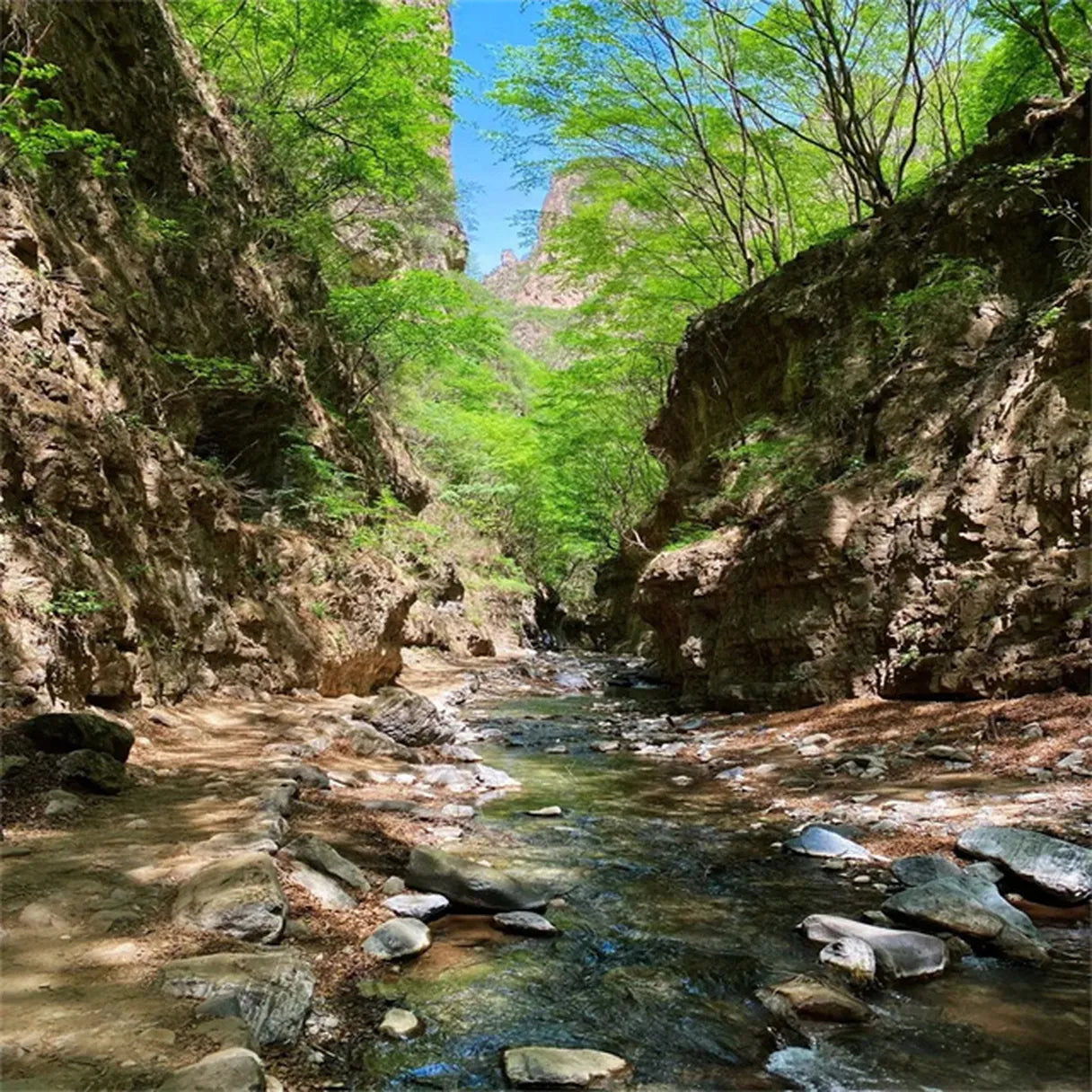 River Crossings to the Past: A Wild & Historic Summer Escape