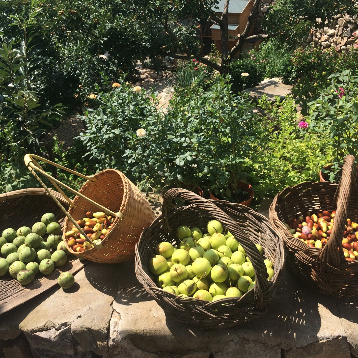 Stonehouse Getaway: Taste the Slow Life Amidst Nature
