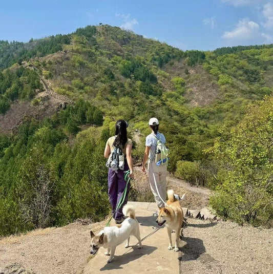 Kankan with Us: Explore the Hidden Side of China Travel