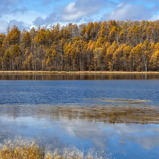 Discover Inner Mongolia: Autumn Landscapes and Secret Cultures of the North