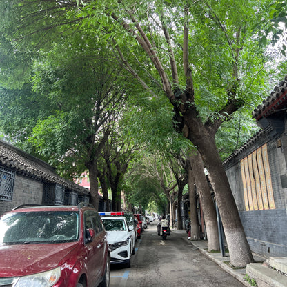 Sesame with Espresso: Beijing’s Flavor Remix