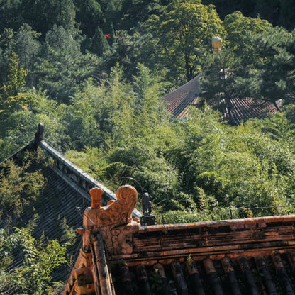 Where Time Slows: Temple Paths & Creative Valleys