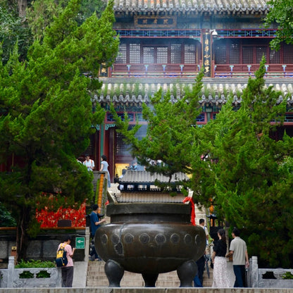 Where Time Slows: Temple Paths & Creative Valleys
